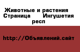  Животные и растения - Страница 12 . Ингушетия респ.